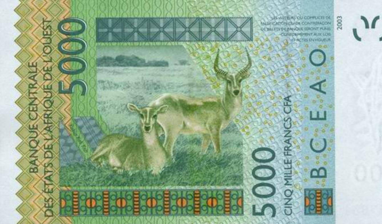 Detail einer 5000 Franc CFA-Banknote