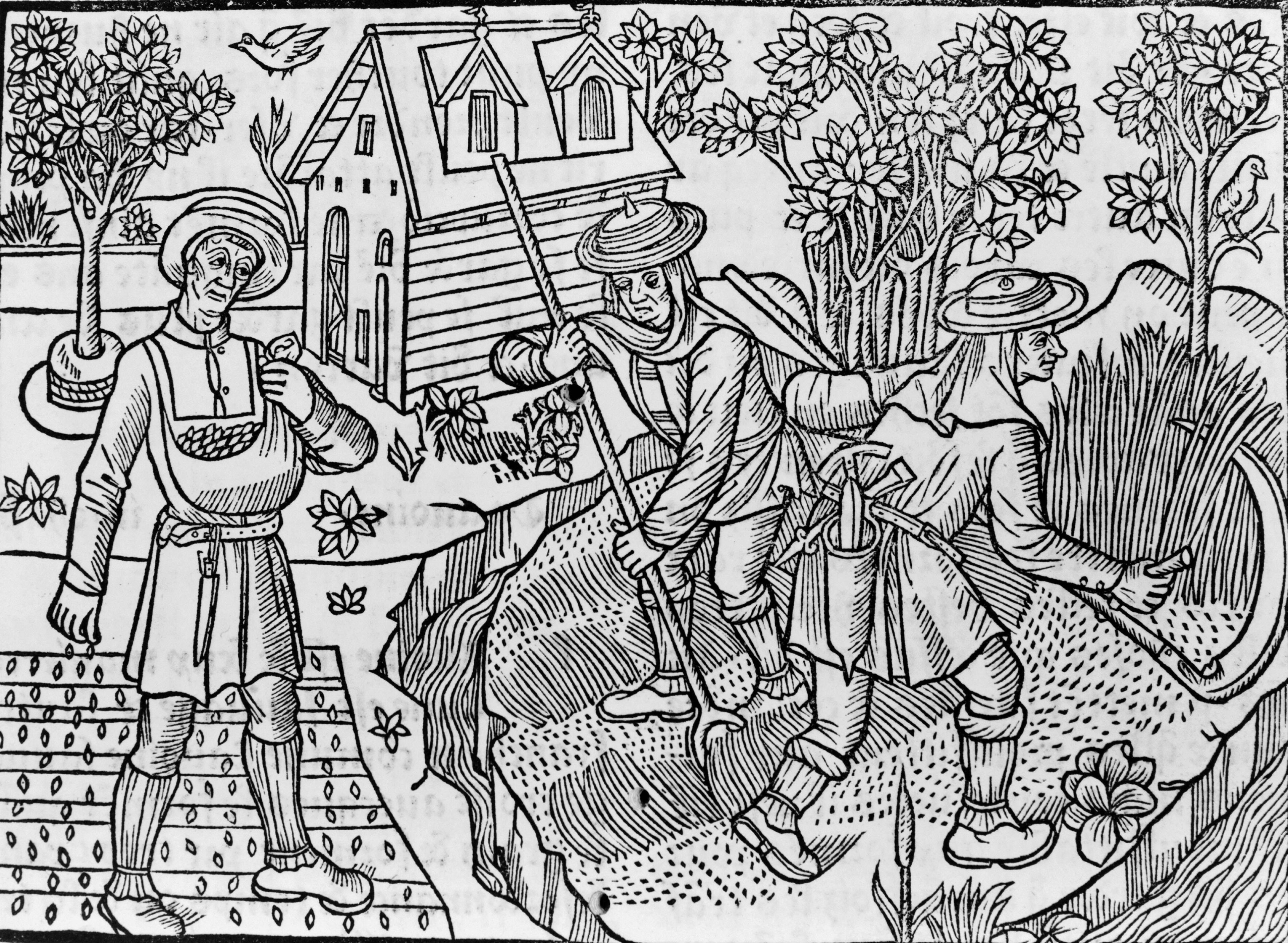 Bauern bei der Feldarbeit, Holzschnitt aus dem Jahr 1296.