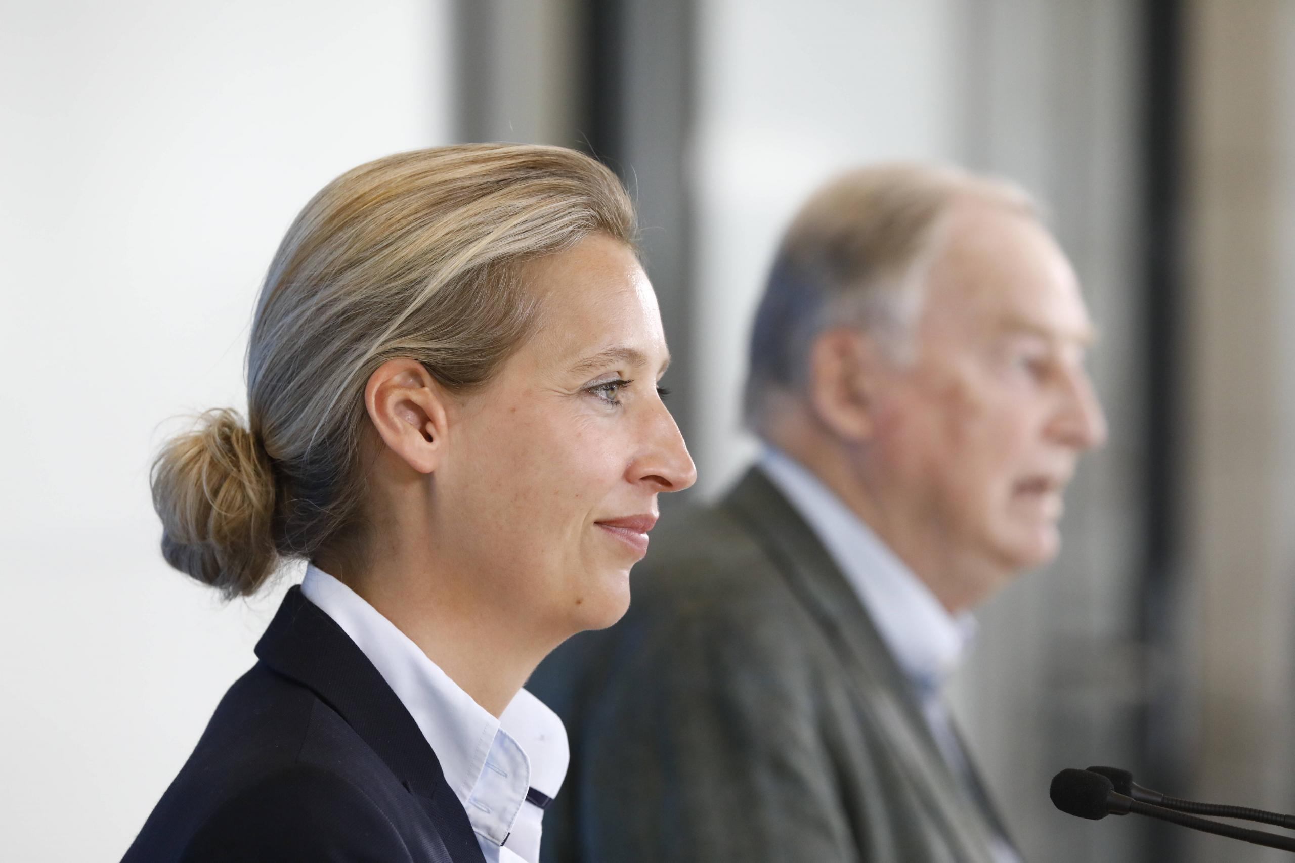 Eher xenophobe Libertäre als Populisten: Die Fraktionsvorsitzenden der AfD Alice Weidel und Alexander Gauland.