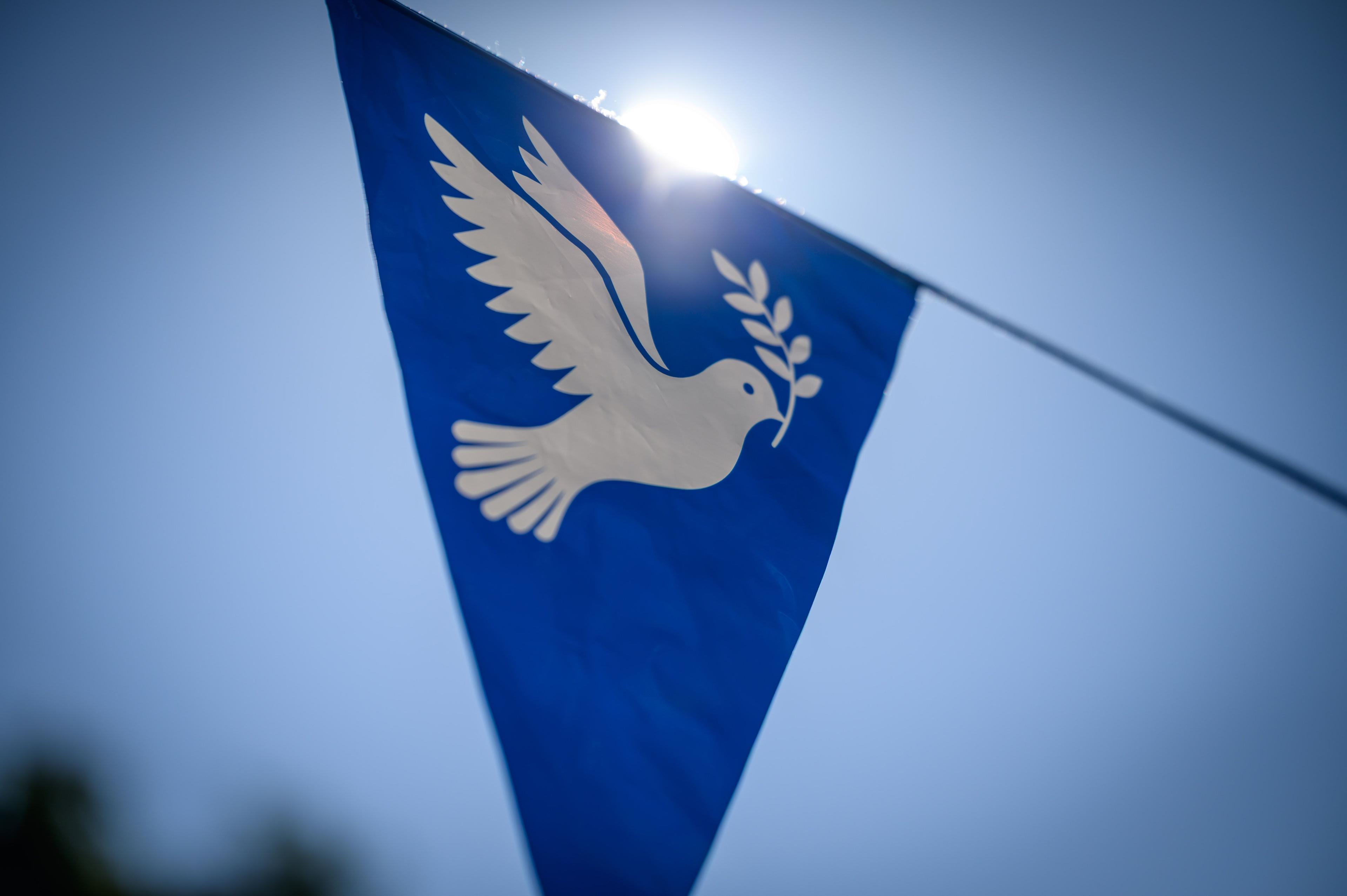 Waffenlieferungen beenden keine Kriege, das kann nur Diplomatie.