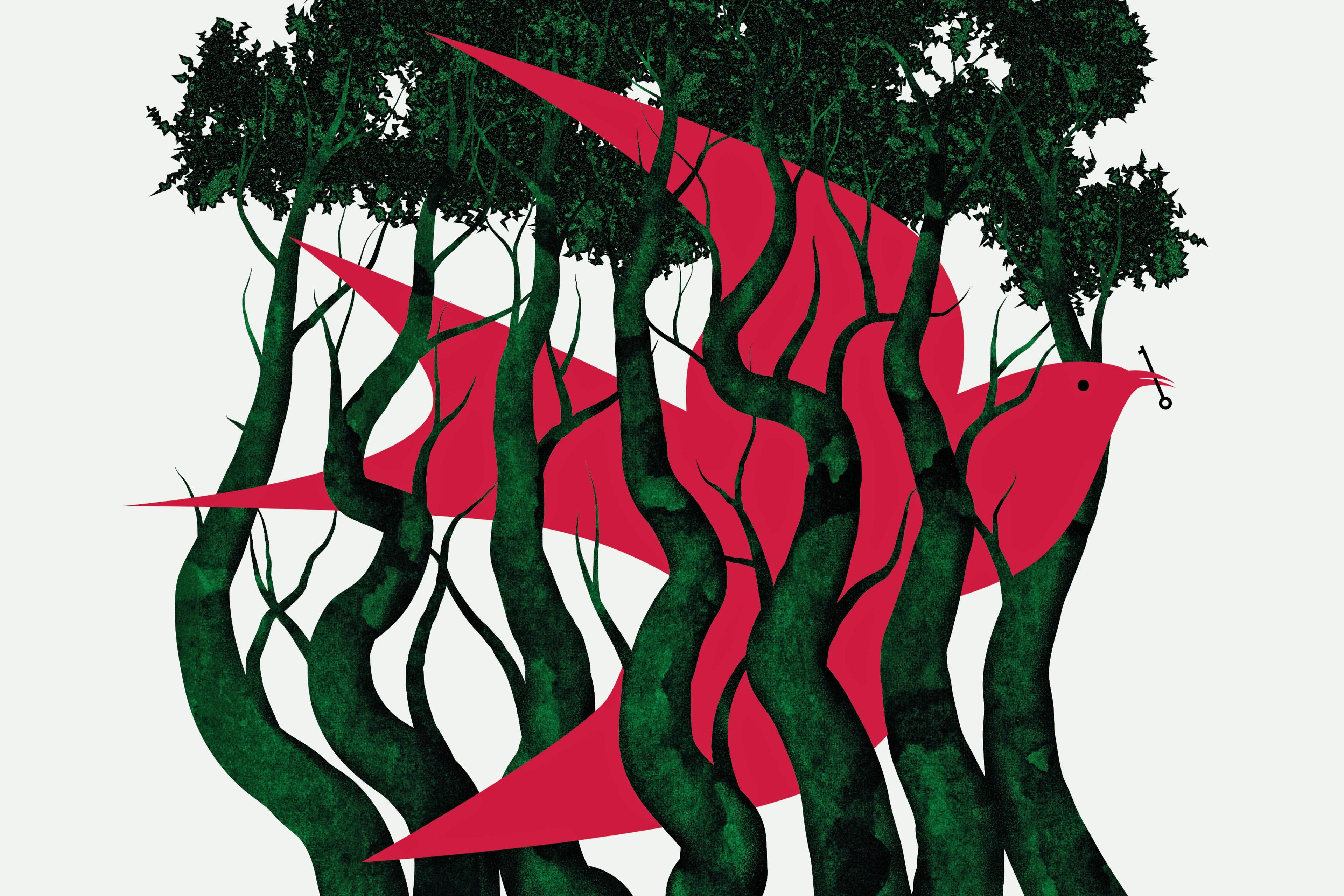 Jedes Zukunftsszenario, jede Hoffnung auf einen dauerhaften Frieden, geschweige denn auf ein Leben in Würde für Palästinenser, hängt ausschließlich von der Willkür mächtiger fremder Akteure ab.«