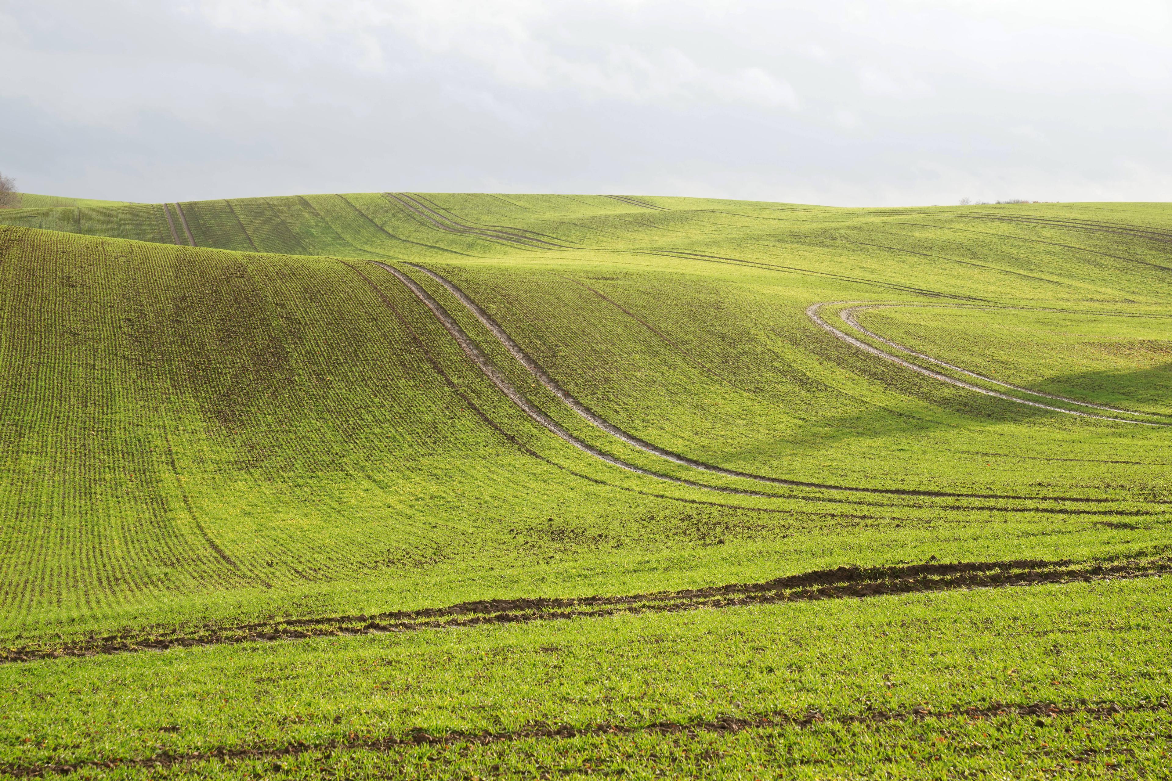 Ein immer größerer Teil der Agrarflächen Ostdeutschlands befindet sich im Besitz anonymer Investmentholdings.
