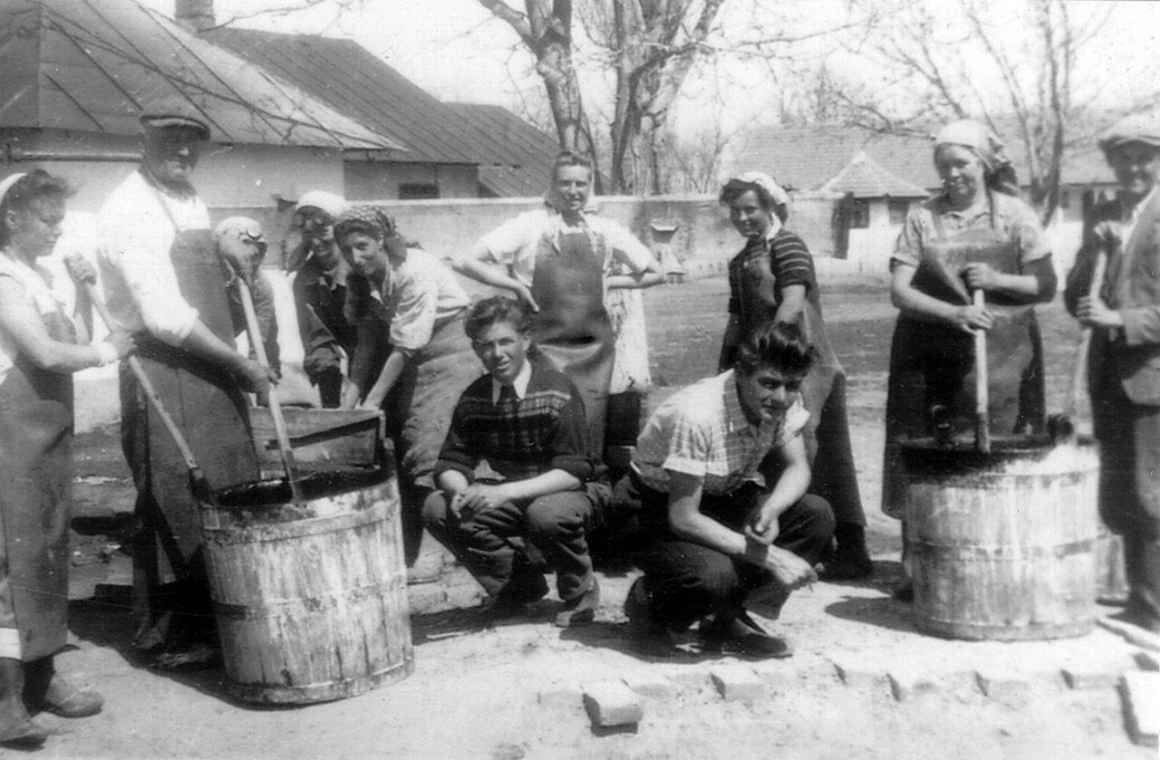 Deportierte beim Beizen von Baumwollblütenkapseln, Staatsfarm »Pavel Tcacenco«, Bumbăcari 1953