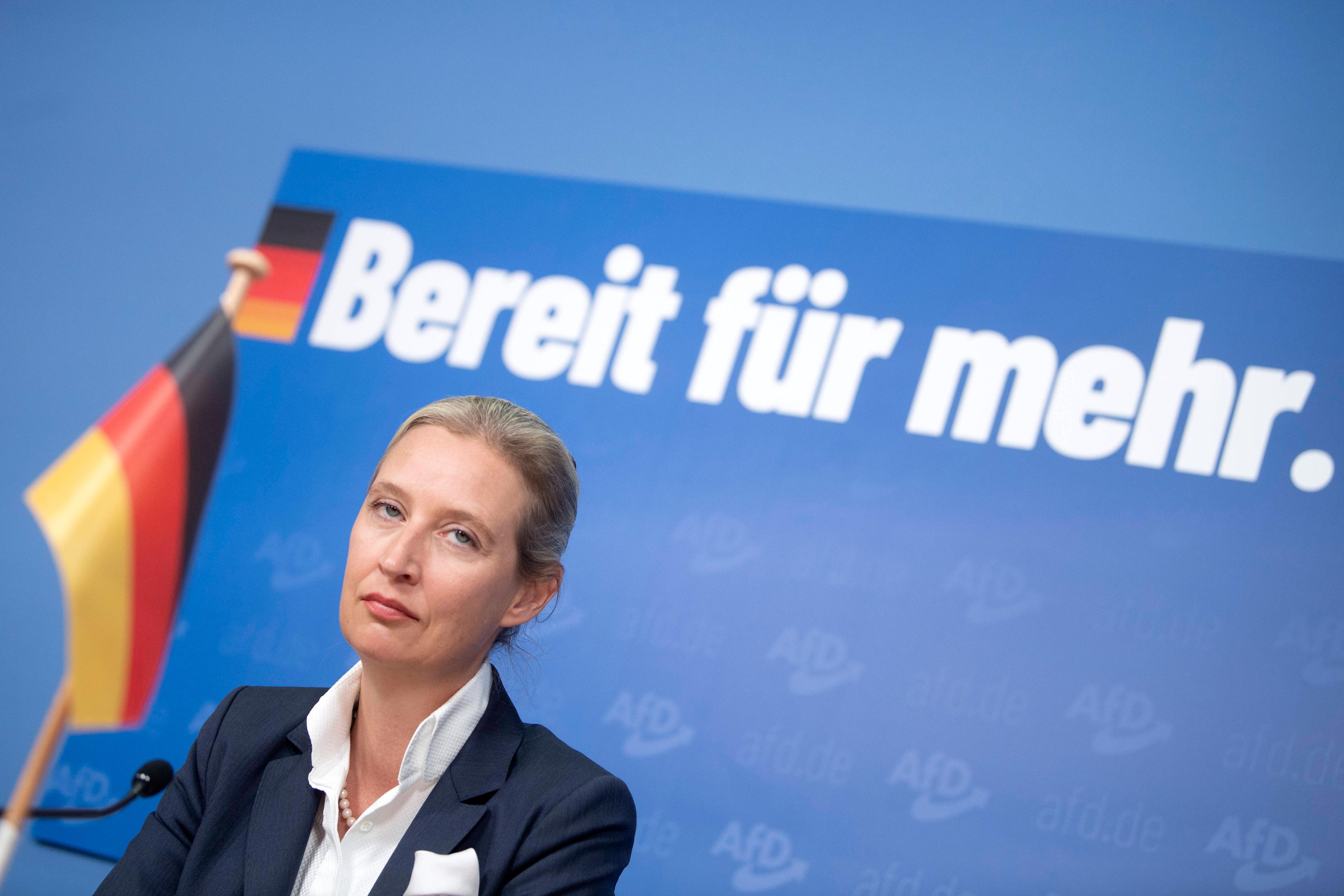 Die AfD-Parteivorsitzende Alice Weidel am Tag nach den Landtagswahlen im Oktober.